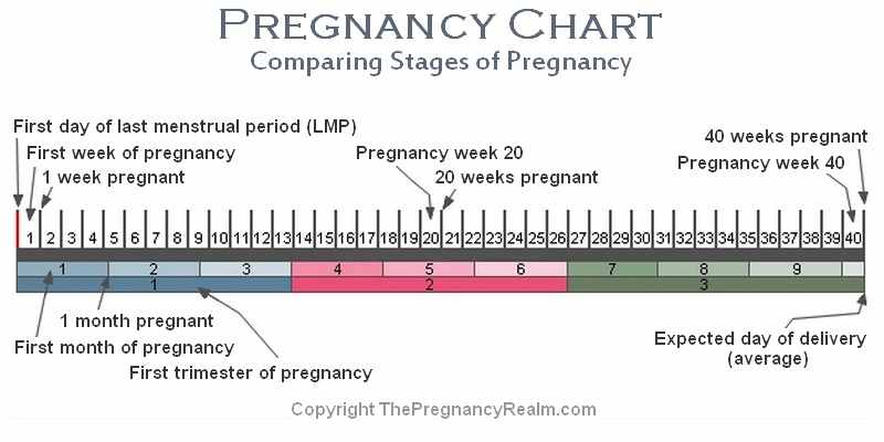 Chart To Avoid Pregnancy