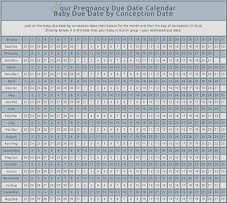 Pregnancy Due Date by Conception Date Calendar